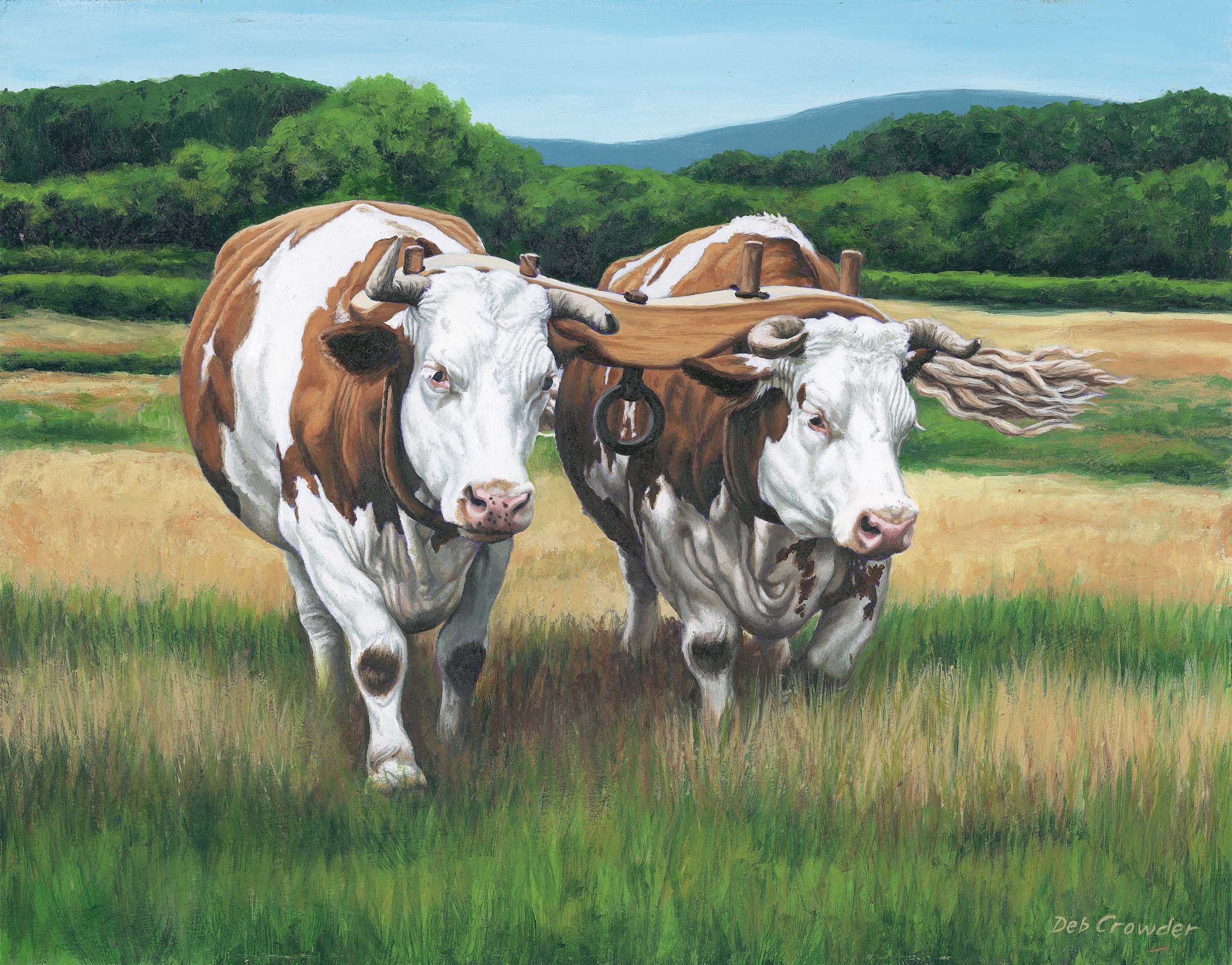 Buck &amp; Ike, © Deb Crowder. Above, Buck &amp; Ike with Star &amp; Bright at the Belding pasture on a cold November day.