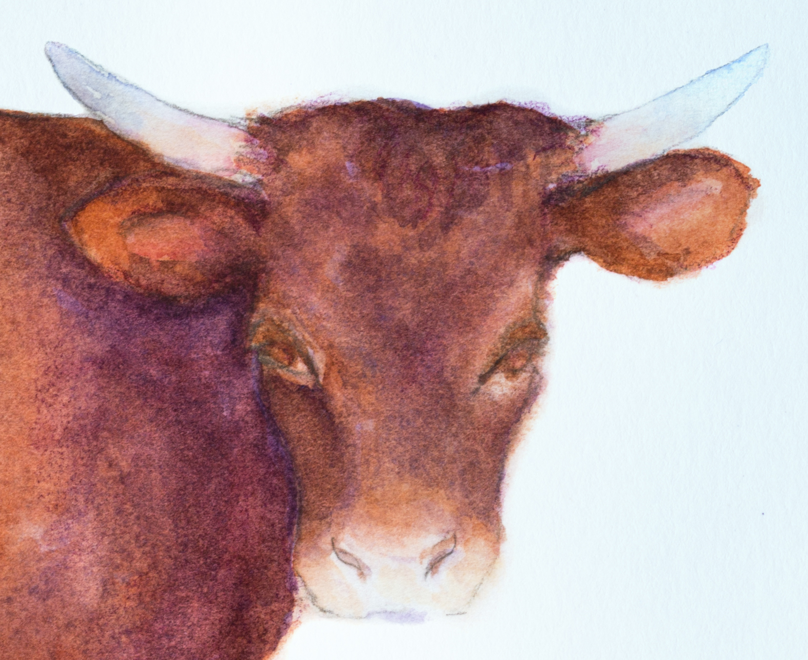 Devon logo face only 11-2017.jpg